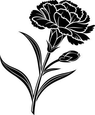 Beyaz arkaplanda karanfil çiçek vektörü Art & Illustration