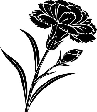 Beyaz arkaplanda karanfil çiçek vektörü Art & Illustration