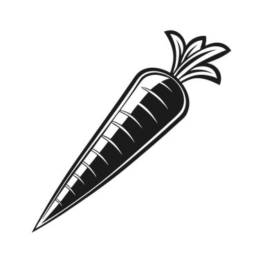 Beyaz zemin üzerinde havuç vektör tasarımı, havuç vektörü Art & Illustration