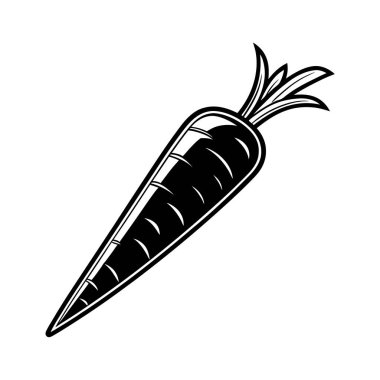 Beyaz zemin üzerinde havuç vektör tasarımı, havuç vektörü Art & Illustration