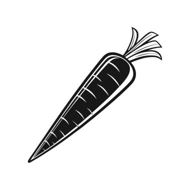 Beyaz zemin üzerinde havuç vektör tasarımı, havuç vektörü Art & Illustration