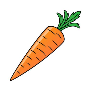 Beyaz zemin üzerinde havuç vektör tasarımı, havuç vektörü Art & Illustration