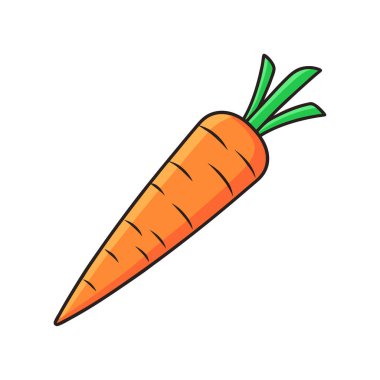 Beyaz zemin üzerinde havuç vektör tasarımı, havuç vektörü Art & Illustration