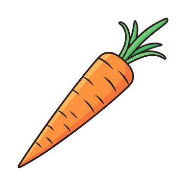 Beyaz zemin üzerinde havuç vektör tasarımı, havuç vektörü Art & Illustration