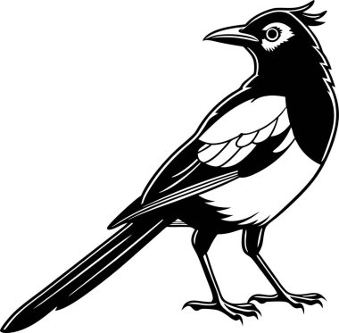 Beyaz arkaplanda sedir kanadı siluet vektörü Art & Illustration