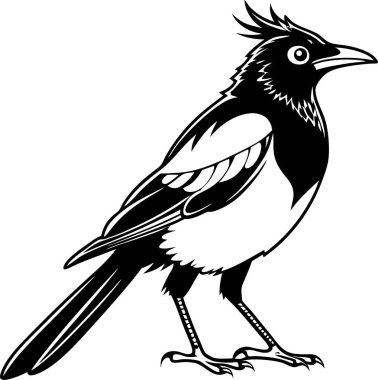 Beyaz arkaplanda sedir kanadı siluet vektörü Art & Illustration