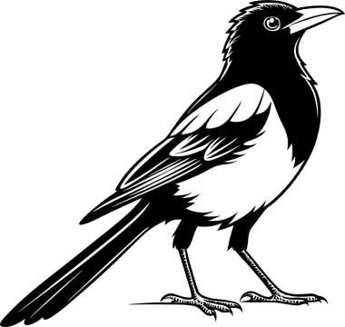 Beyaz arkaplanda sedir kanadı siluet vektörü Art & Illustration