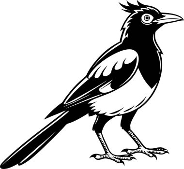 Beyaz arkaplanda sedir kanadı siluet vektörü Art & Illustration