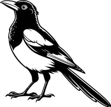 Beyaz arkaplanda sedir kanadı siluet vektörü Art & Illustration