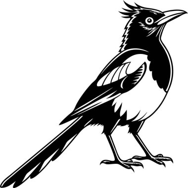 Beyaz arkaplanda sedir kanadı siluet vektörü Art & Illustration