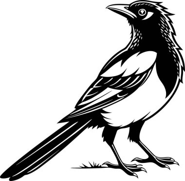 Beyaz arkaplanda sedir kanadı siluet vektörü Art & Illustration