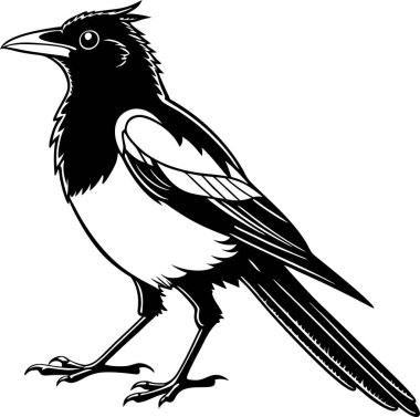 Beyaz arkaplanda sedir kanadı siluet vektörü Art & Illustration