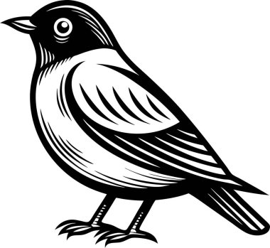 Serçe siluet vektörü yontuluyor Art & Illustration