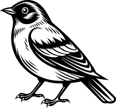Serçe siluet vektörü yontuluyor Art & Illustration