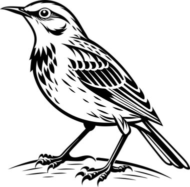 Serçe siluet vektörü yontuluyor Art & Illustration
