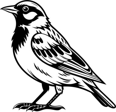 Serçe siluet vektörü yontuluyor Art & Illustration