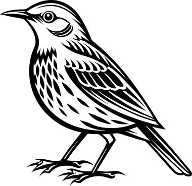 Serçe siluet vektörü yontuluyor Art & Illustration