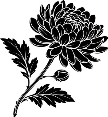 Kasımpatı çiçek vektörü Art & Illustration, Zarif Kasımpatı Çiçeği, Japon Çiçek Silueti