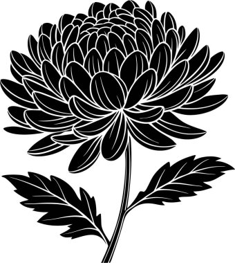 Kasımpatı çiçek vektörü Art & Illustration, Zarif Kasımpatı Çiçeği, Japon Çiçek Silueti