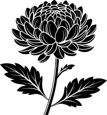 Kasımpatı çiçek vektörü Art & Illustration, Zarif Kasımpatı Çiçeği, Japon Çiçek Silueti