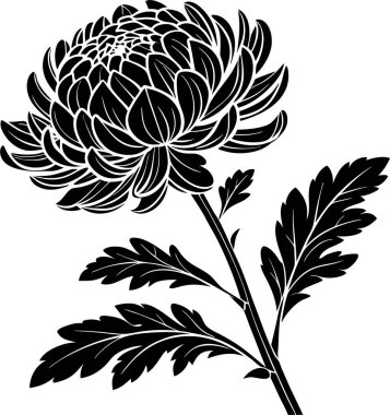 Kasımpatı çiçek vektörü Art & Illustration, Zarif Kasımpatı Çiçeği, Japon Çiçek Silueti