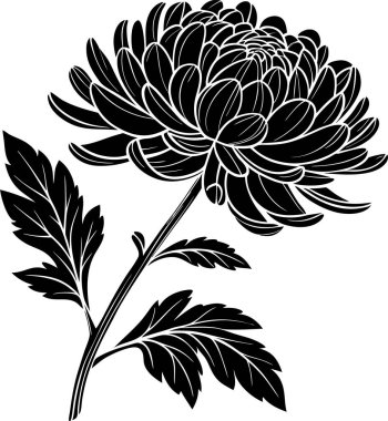 Kasımpatı çiçek vektörü Art & Illustration, Zarif Kasımpatı Çiçeği, Japon Çiçek Silueti