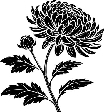 Kasımpatı çiçek vektörü Art & Illustration, Zarif Kasımpatı Çiçeği, Japon Çiçek Silueti