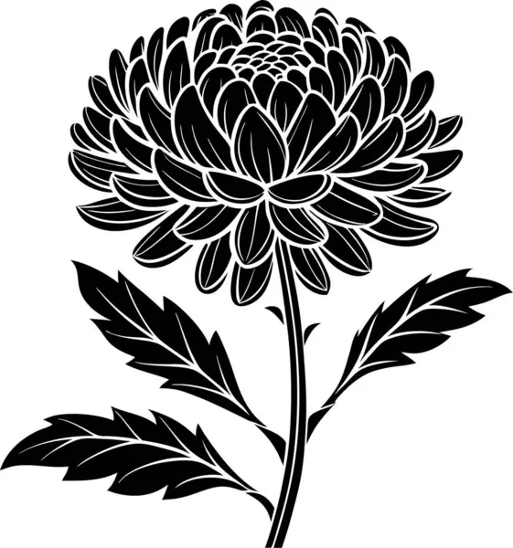 Kasımpatı çiçek vektörü Art & Illustration, Zarif Kasımpatı Çiçeği, Japon Çiçek Silueti