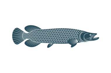  Arapaima vektörü Sanat & İllüstrasyon