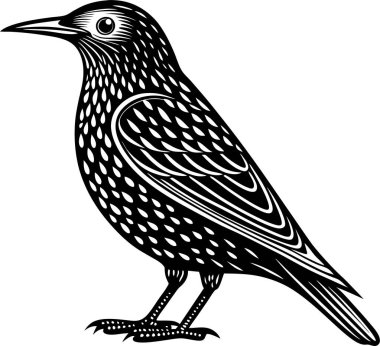 Ortak Starling Silüet Vektör Sanatı & İllüstrasyonu