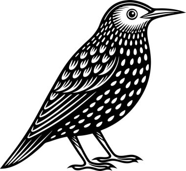 Ortak Starling Silüet Vektör Sanatı & İllüstrasyonu
