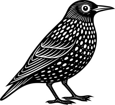 Ortak Starling Silüet Vektör Sanatı & İllüstrasyonu