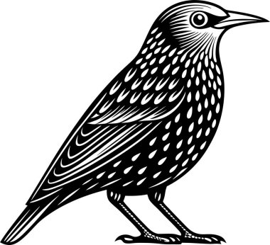 Ortak Starling Silüet Vektör Sanatı & İllüstrasyonu