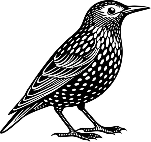 Ortak Starling Silüet Vektör Sanatı & İllüstrasyonu