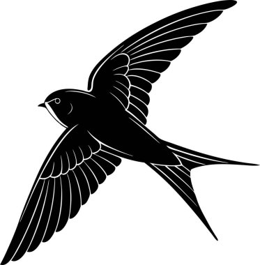 Yaygın Swift Görüntü Sanatı & İllüstrasyonu