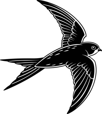 Yaygın Swift Görüntü Sanatı & İllüstrasyonu