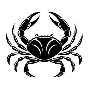 Dinamik Yengeç Silüeti, Sanat ve Görüntü