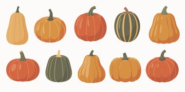 Çeşitli şekil ve boyutlarda on balkabağı ve su kabağı koleksiyonunun yer aldığı düz bir illüstrasyon. Kabaklar turuncu, sarı ve yeşil tonlarda tasvir edilir, bazı kabuklu dokular ve çizgilerle. Balkabaklarının arasına yayılmış...