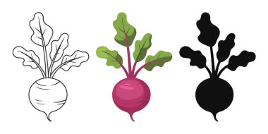 Bu resim beyaz bir arka planda pancar kökünün üç farklı temsilini gösterir. İlki siyah beyaz bir çizgi, kökü ve yapraklı yeşil kapağı basit çizgilerle gösteriyor. İkincisi renkli bir illüstrasyon, canlı bir resim. 