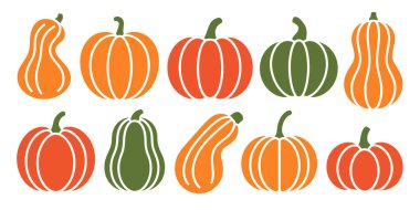 Beyaz arka planda çeşitli şekil ve boyutlarda on adet balkabağı ve kabak koleksiyonu sergilenmektedir. İllüstrasyonlarda kalın hatları ve turuncu ve yeşil tonlarında katı dolguları olan düz bir tasarım yer alıyor. Bazı balkabakları ribb ile doludur.