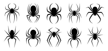 Beyaz arka planda on adet siyah örümcek silueti sergileniyor. Örümcekler poziyonda ve bacak pozisyonlarında farklılık gösterirken, bazıları daha stilize ve diğerleri daha ayrıntılı görünür, örümcekler eklembacaklı formunun farklı yorumlarını gösterirler..