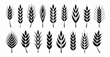 Beyaz arka planda 18 adet siyah buğday sapı koleksiyonu. Sapların şekli ve yoğunluğu tahılın yoğunluğu farklıdır, bazıları daha ince, bazıları daha doludur. Farklı sanatsal yorumlar içeren iki sıra halinde dizilirler.