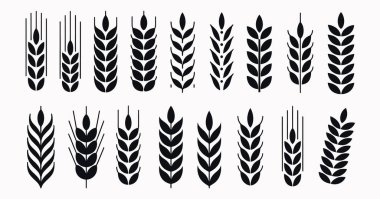 Beyaz arka planda duran 18 adet siyah buğday sapı koleksiyonu. Buğday kümelerinin şekli ve yoğunluğu değişkenlik gösterirken, bazıları sapı temsil eden birden fazla ince çizgi ve diğerleri daha fazla s göstermektedir.