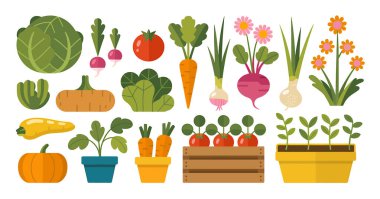 Düz, çizgi film tarzı bir illüstrasyonda beyaz arka planda bir bahçe sebze ve çiçek koleksiyonu yer alır. Anlaşmada büyük yeşil lahana, yeşil tepeli kırmızı turplar, parlak kırmızı domates, turuncu havuç, yeşil soğanlı beyaz soğan yer alıyor.