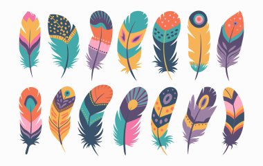 Beyaz arka planda sergilenen on beş adet stilize tüy koleksiyonu. Her bir tüy, canlı renklere sahip eşsiz bir tasarıma sahiptir. Örneğin, deniz mavisi, turuncu, sarı, pembe, mor ve koyu mavi. Birçok tüy geometrik desenlerle süslenmiştir.