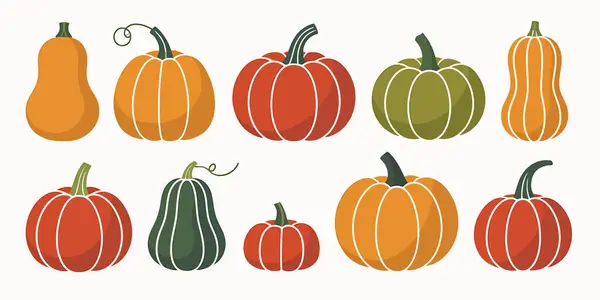 Çeşitli şekil ve boyutlarda on adet balkabağı ve kabak koleksiyonu hafif bir arkaplanda sergilenmektedir. Balkabakları turuncu, kırmızı ve yeşil tonlarda tasvir edilir ve basit beyaz çizgiler segmentlerini tanımlar. Bir tereyağlı kek.