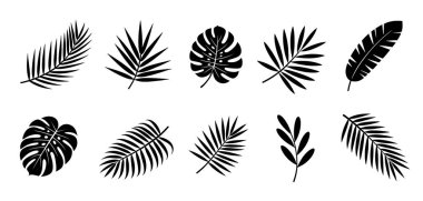 Beyaz arka planda siyah tropikal yaprak siluetleri, canavar ve palmiye yaprakları..
