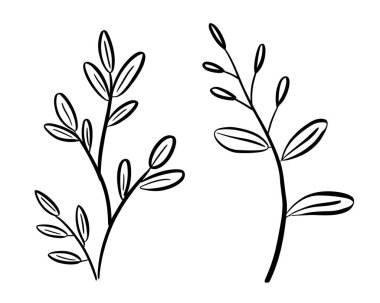 Beyaz arka planda yaprakları olan iki narin bitkinin minimalist siyah beyaz çizgisi..