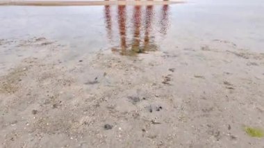 Itsukushima Tapınağı 'nın ikonik yüzen Torii kapısı Miyajima Adası' nın sığ sularında zarifçe duruyor.. 