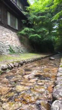 Japonya 'daki bir orman deresinin sakin bir görüntüsü, verimli yeşilliklerle çevrili zarif bir ahşap evin yanından akıyor.. 